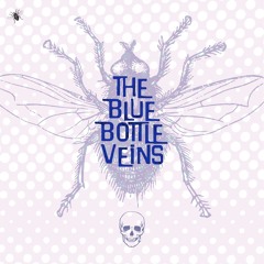 The Bluebottle Veins 'Raindrop Blues'