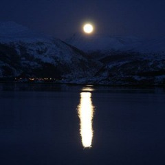 After You(Robbadoc&Bols LaydbackMix)