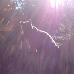 I Promise (ft. Sufjan Stevens 2012)