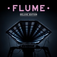 Flume - Holdin On (Ft. Freddie Gibbs)