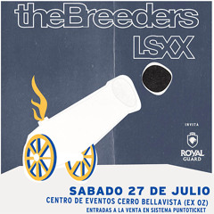 The Breeders - New Year (Chile 2013)