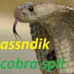 Allesnik - Cobra Spit