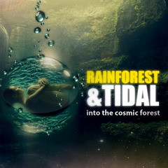 Rainforest & Tidal - Into The Cosmic Forest ( Forthcoming Sacred Landscapes LP @ Soulridaz )
