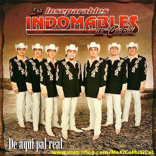 Los Indomables De Cedral Puros Exitos Mix Por DjCrazy Mix