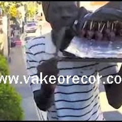 Mambo   Palito De Coco ( Original) MP3 WWW.VAKEORECOR.COM
