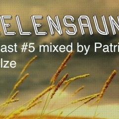 Seelensauna Podcast #5 mixed by Patrick Schulze