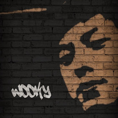 ElecHouse MixSet Wooky From Dj HighWay