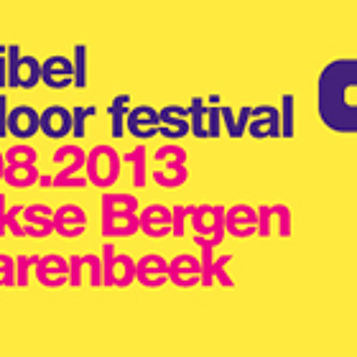 Decibel Outdoor Festival 2013 CD (Mixed by Brennan Heart)