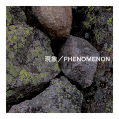 現象／Phenomenon