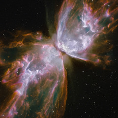 WOEFUL THUMPS IN NEWMARKET!