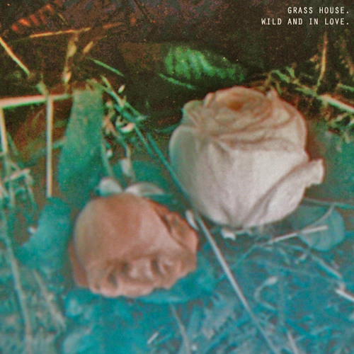Wild And In Love By Grass House On Soundcloud Hear The World S Sounds soundcloud