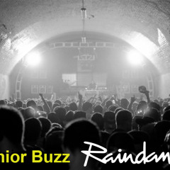 Raindance 24th Birthday Promo Mix - Junior Buzz