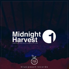 Ordonez, Ran Salman, Shlomi Biton - Last Night (Snippet LQ) [Blue Peach Records] OUT NOW !!!