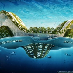 The Future *NEW*