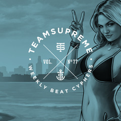 Vol. 77 (The Roland TR-505 Cypher)