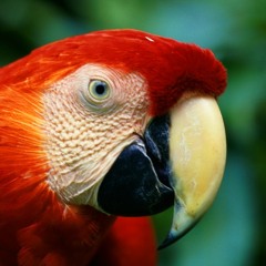 blessed (do you feel, what i feel? who he heals?)