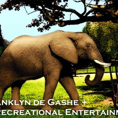 The Recreational Entertainment