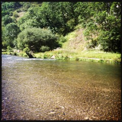 Dozens of thoughts / Like skimming stones