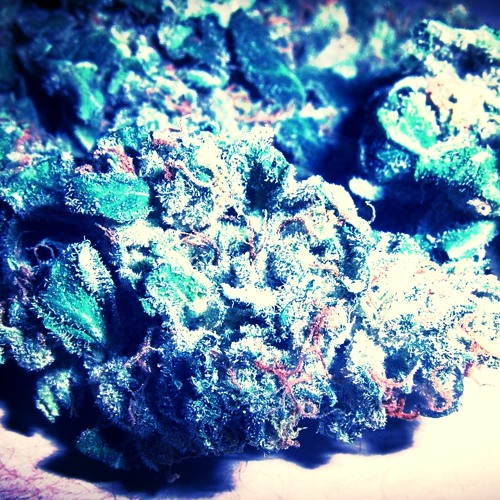 Northern Lights