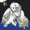 Songs: Ohia - Farewell Transmission
