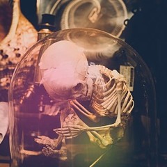 Ostin Collins - Dead Astronaut