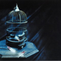 【zoe】Kimi wa Boku ni Nitteiru【歌ってみた】