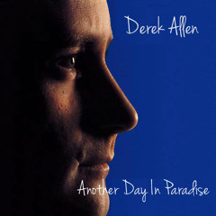 Another Day In Paradise (cover)