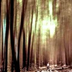 Op. 2 No. 17 (Wu Wei Folk Hop Remix)- My Heart Is An Idiot