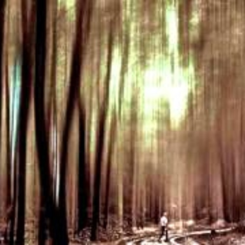 Op. 2 No. 17 (Wu Wei Folk Hop Remix)- My Heart Is An Idiot