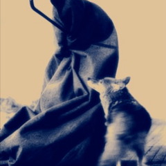 Cyndies - MasterWolfe rough mix