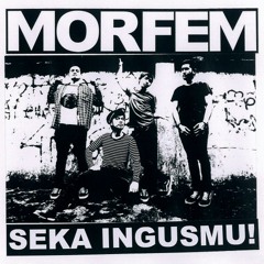 Morfem - What Goes On (Velvet Underground Cover)