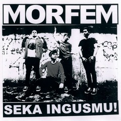 MORFEM - Venus In Furs (The Velvet Underground Cover)