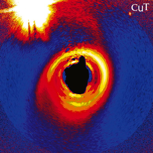 Time Traveller 2013 gold top take (extended ep 2013 cut)