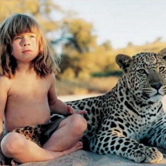 O Leãozinho (Caetano Veloso)