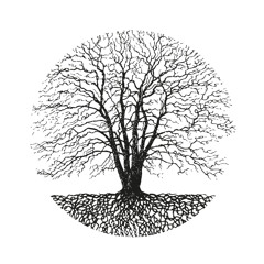 Silent Season - Morning Wanderer (Ambient Mix)