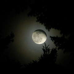 وَاتَّبَعُوا مَا تَتْلُو الشَّيَاطِينُ عَلَىٰ مُلْكِ سُلَيْمَان