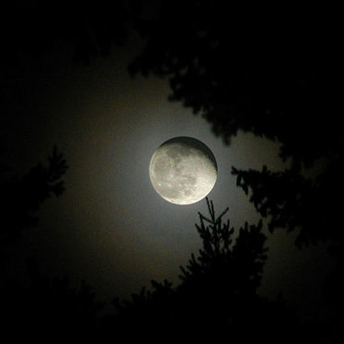 وَاتَّبَعُوا مَا تَتْلُو الشَّيَاطِينُ عَلَىٰ مُلْكِ سُلَيْمَان