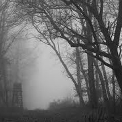 Wer hat hier wen in den Wald gebracht???HÄÄÄÄ....