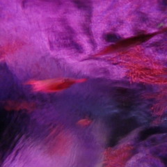 Suspended Soul (feat. Kashmir)