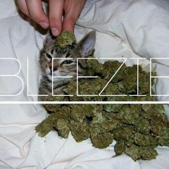 Cat Drool - Bleezie