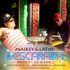 Descarada By Wahm