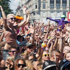Plattenleger  @ Sektor 11 Zürich (Streetparade-2013)