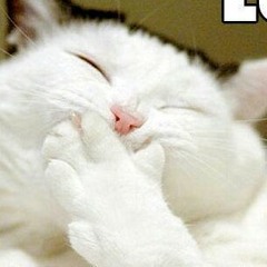 My Fav Song at New Morning market