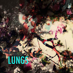 LUNGS - Not Mine