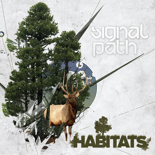 Signal Path - Night Lightening (I'm Sorry)