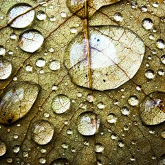 Done feat. Kelli Morris [DEMO]