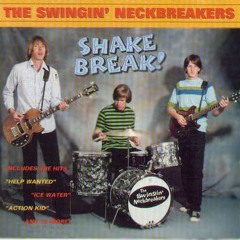 Shake N Break ***Free  Download DJ Mix***