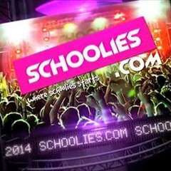 Schoolies 2013 Promo Mix