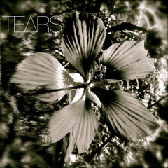 zero_visibility (v2)