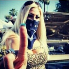 Miss Lady Pinks -Scroche